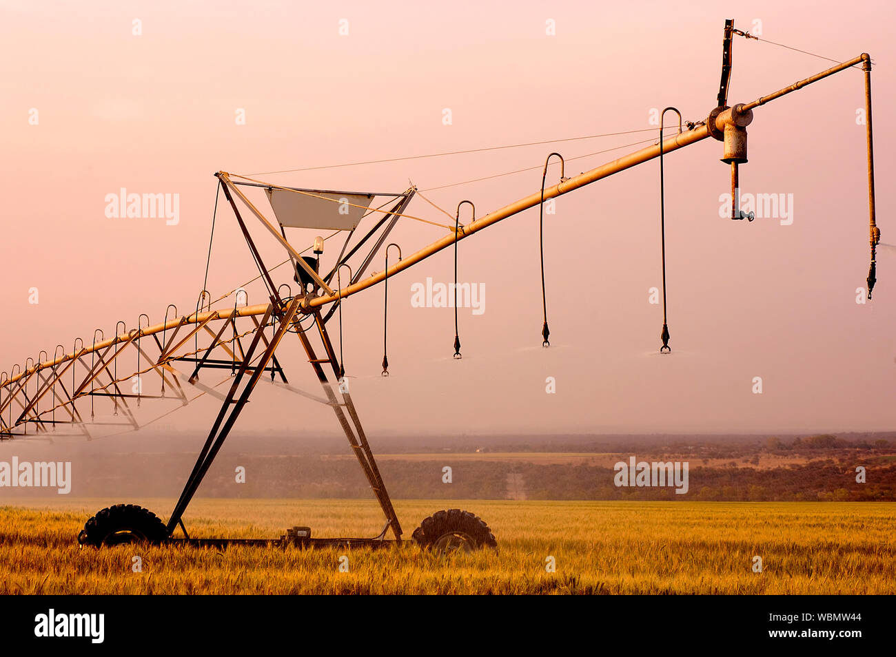 Irrigation system watering a wheat field Stock Photo Alamy