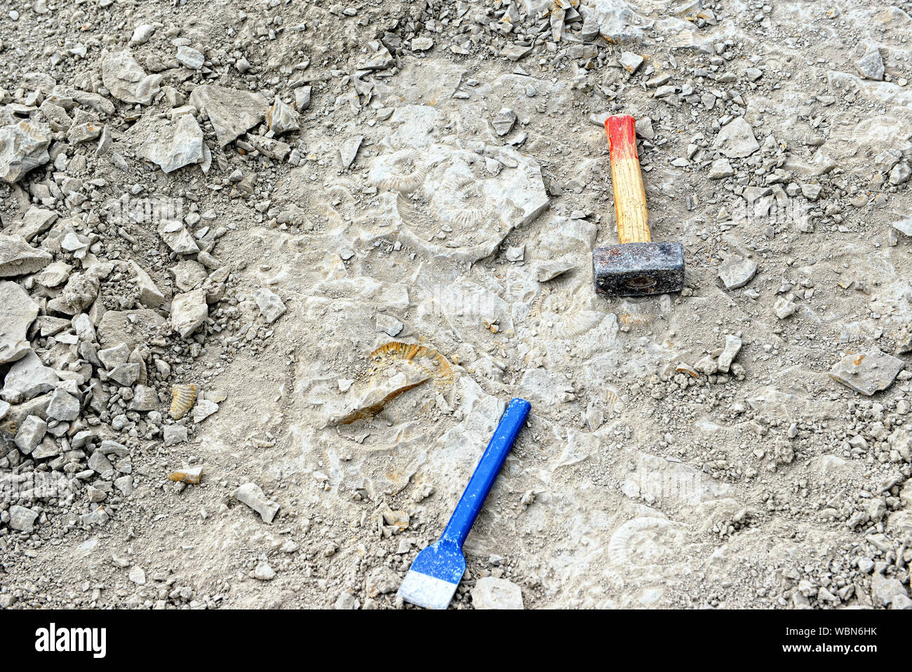 High Angle View Of Chisel And Hammer On Ammonite Fossil Stock Photo - Alamy