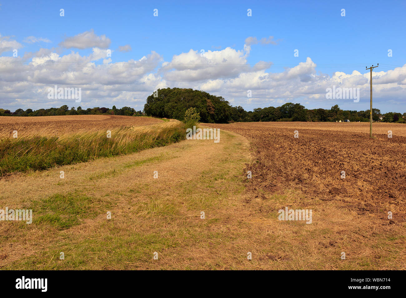 Farm fields in Lincolnshire after harvesting the crops Stock Photo Alamy