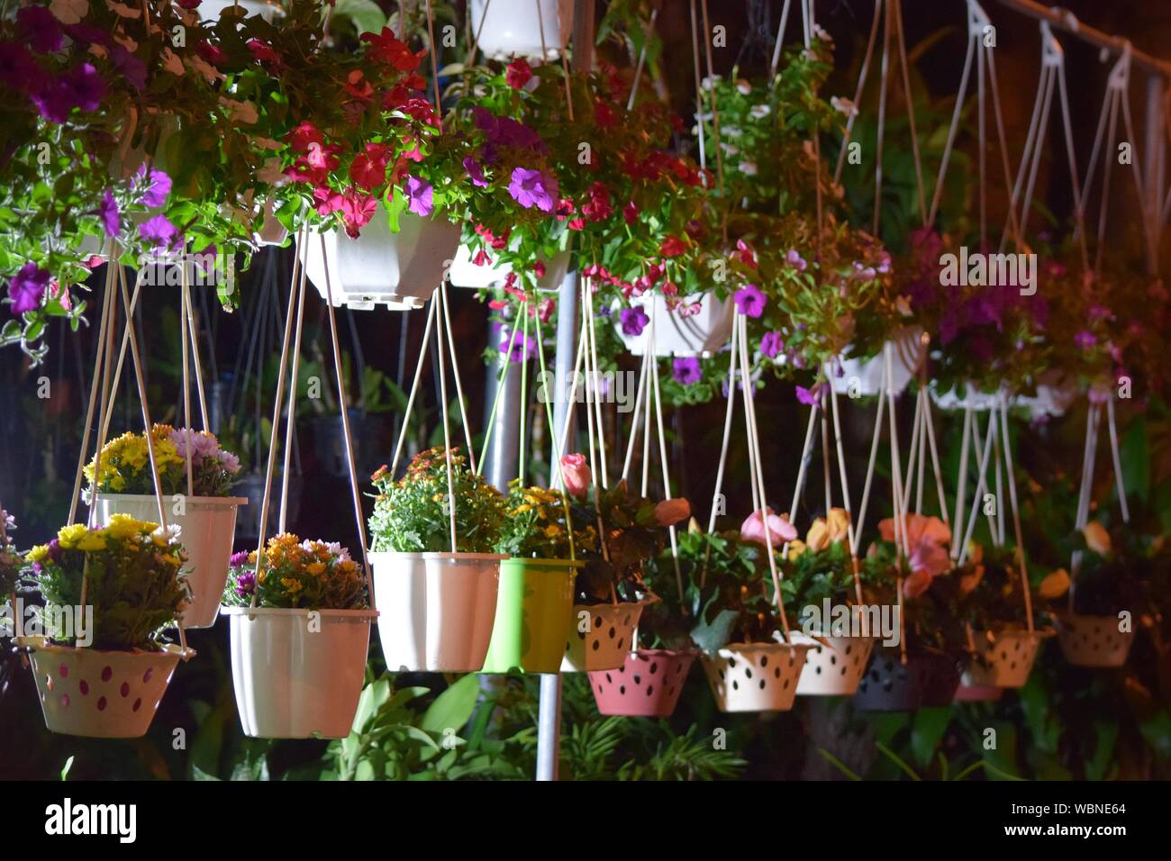 Flower Pots Hanging At Shop Stock Photo