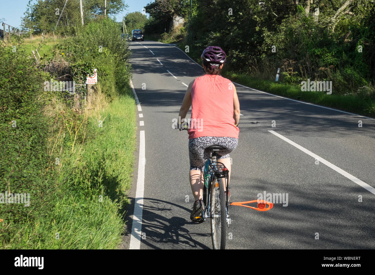 warning,sign,flag,Female,woman,cyclist,riding,bicycle,on,narrow,countryside,rural,lanes,around,village,of,Borth,Ceredigion,county,Wales,Welsh,GB,UK, Stock Photo