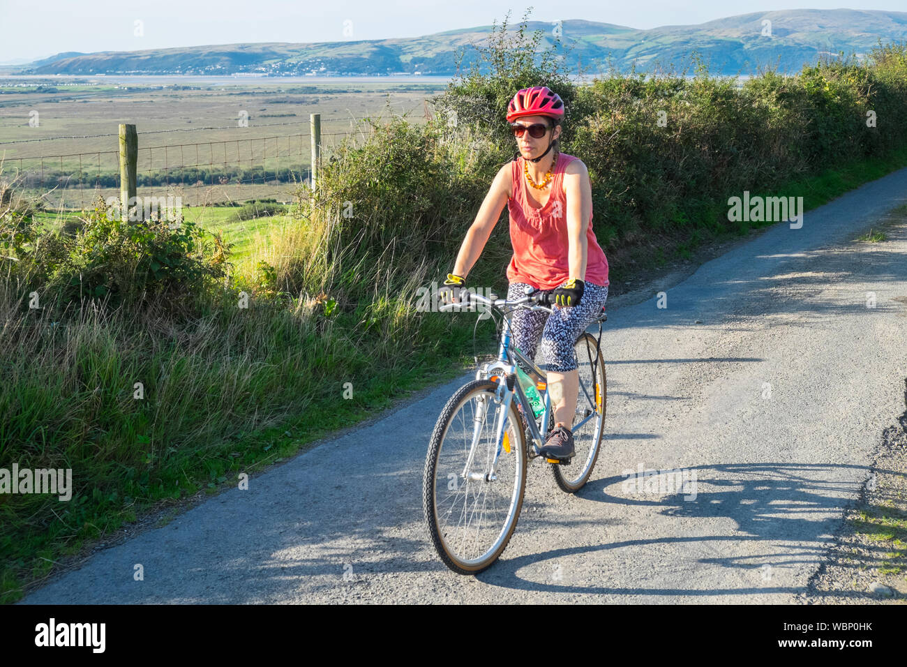 warning,sign,flag,Female,woman,cyclist,riding,bicycle,on,narrow,countryside,rural,lanes,around,village,of,Borth,Ceredigion,county,Wales,Welsh,GB,UK, Stock Photo