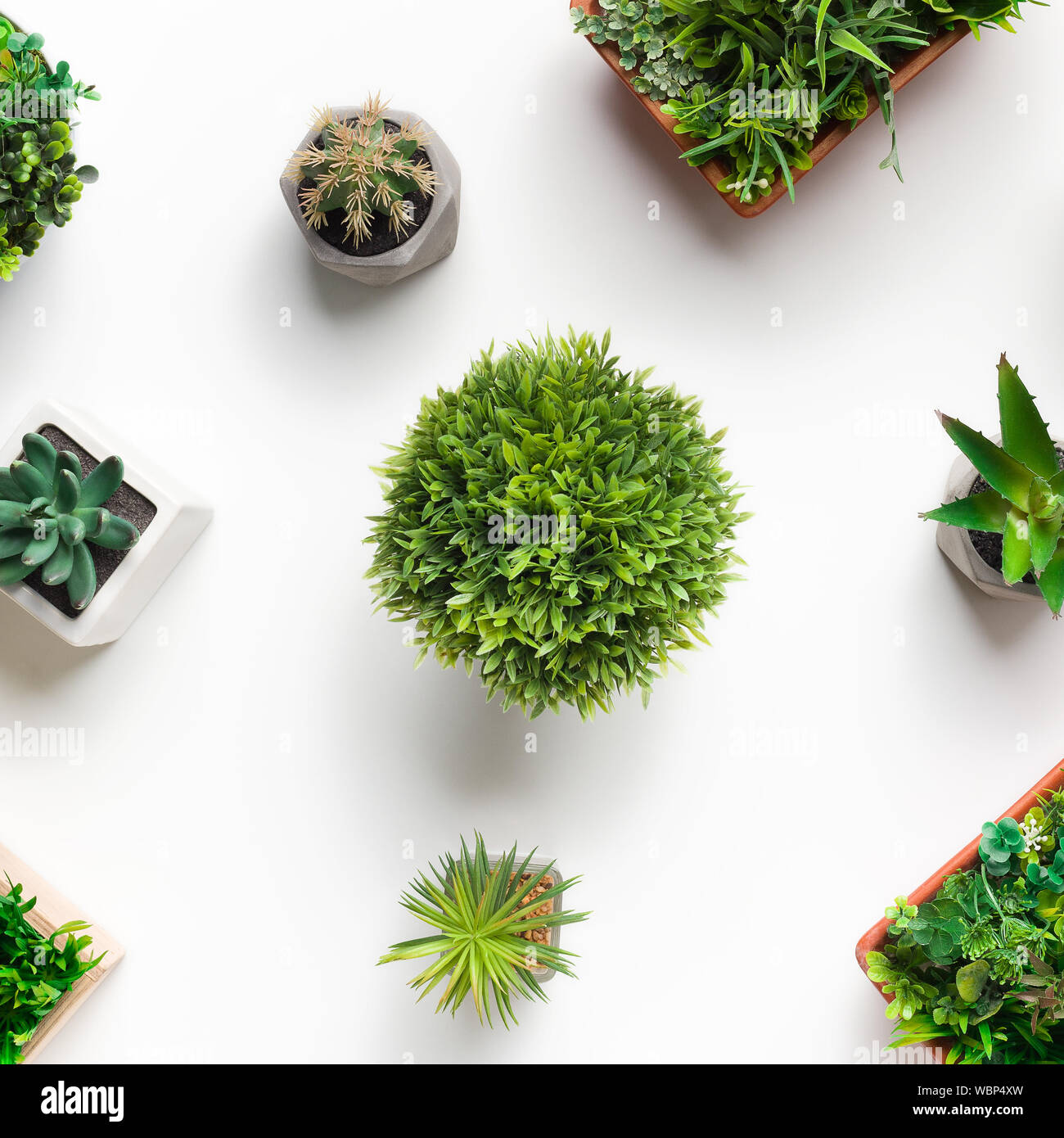 Pattern of artificial succulent, cacti and grassy plants Stock Photo