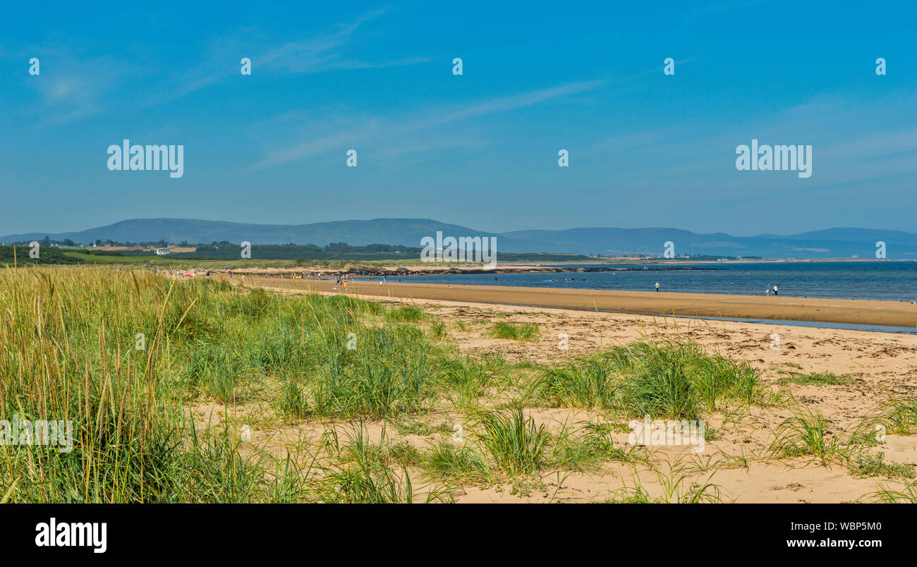 DORNOCH SUTHERLAND SCOTLAND MARRAM GRASS Ammophila AND PEOPLE ON THE SANDS OF DORNOCH BEACH ON A DAY IN SUMMER Stock Photo