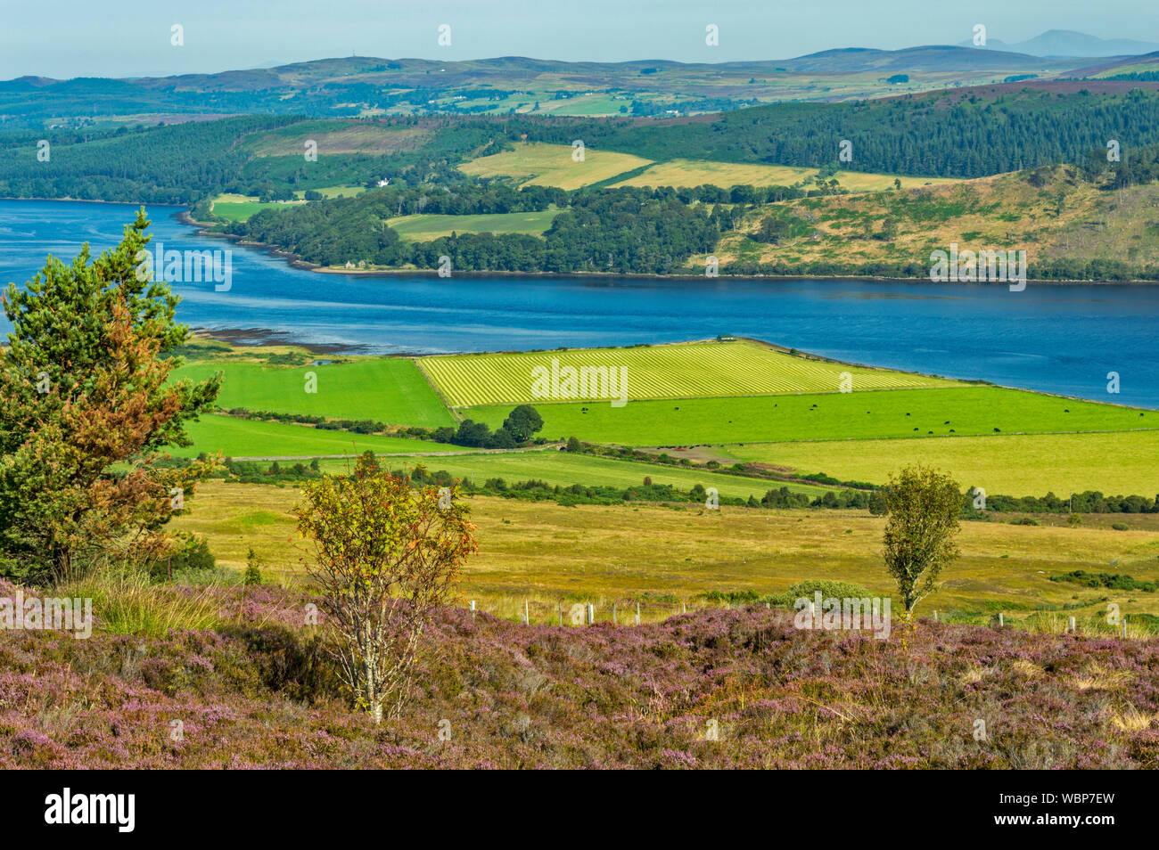 STRUIE HILL ROSS AND CROMARTY SCOTLAND VIEW IN SUMMER OVERLOOKING THE