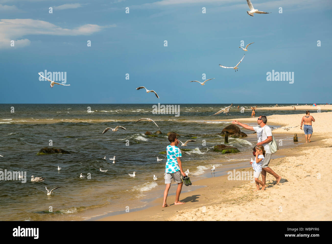 Touristen füttern die Möwen am Ostsee Strand von Misdroy / Miedzyzdroje, Insel Wolin, Westpommern,  Polen, Europa  |  tourists feeding the seagulls at Stock Photo