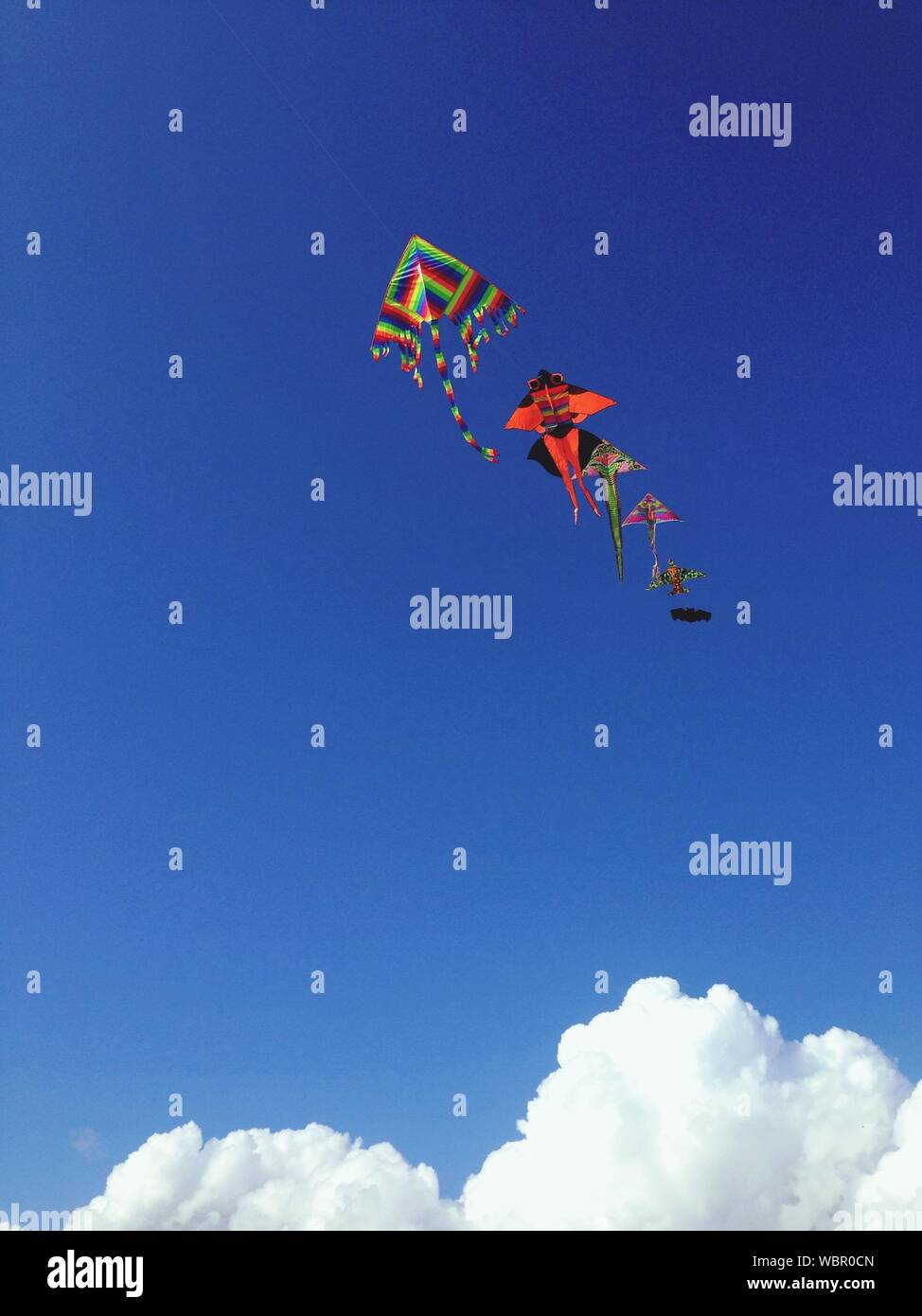 Multi Colored Kites Flying Against Blue Sky Stock Photo
