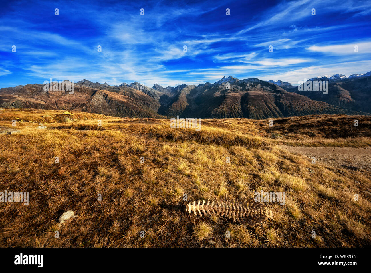 part of a skeleton in front of alpine panorama Stock Photo