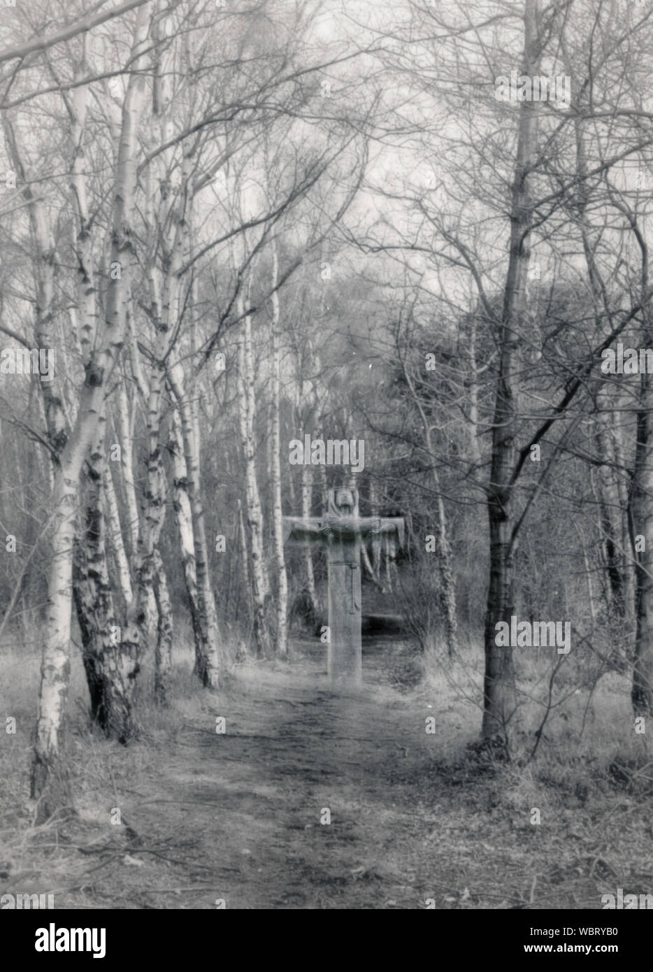 effect shot of ghostly apparition on a forest path Stock Photo