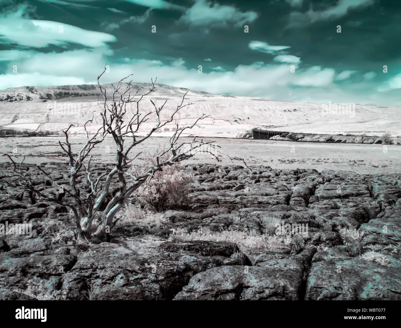 infrared shot of limestone pavement and ribblehead viaduct with false color Stock Photo