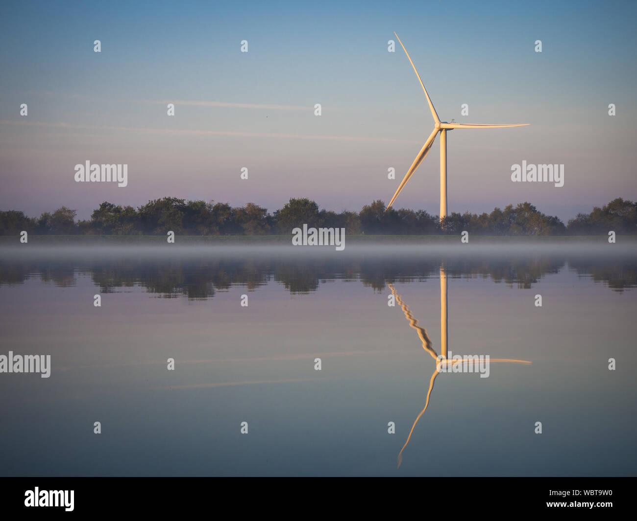 Blackwood Stock Photos Blackwood Stock Images Page 2 Alamy