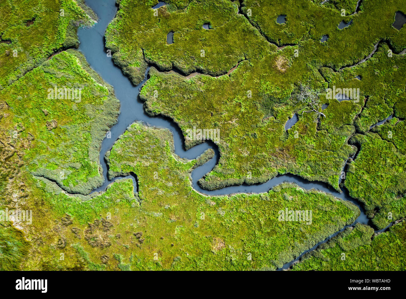 Aerial view of lush coastal wetlands in Wales, UK Stock Photo