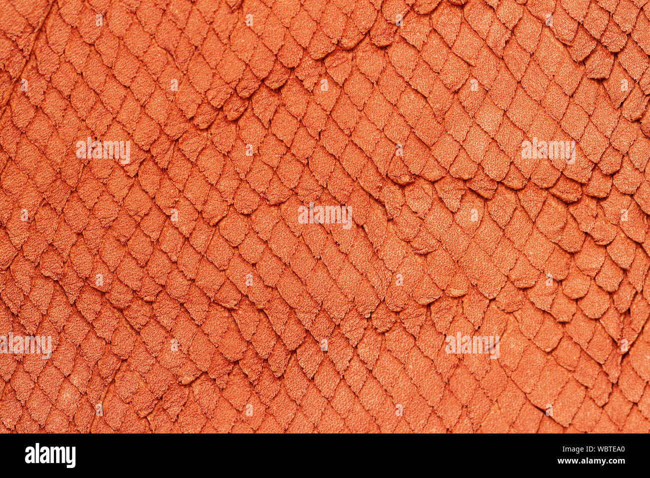 Texture of genuine leather close-up, embossed under the skin a reptile ...