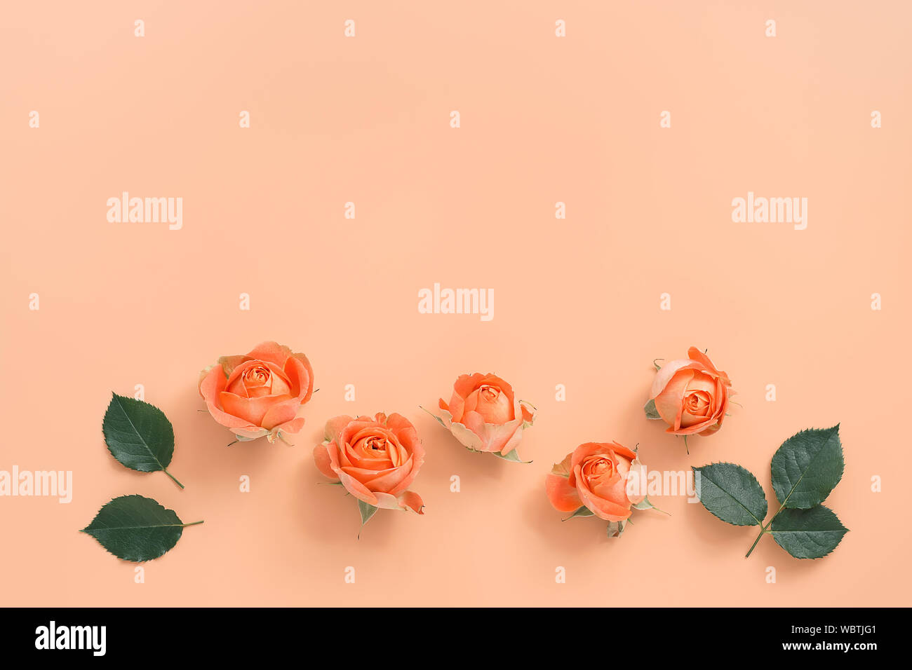 Pastel peach hi-res stock photography and images - Alamy