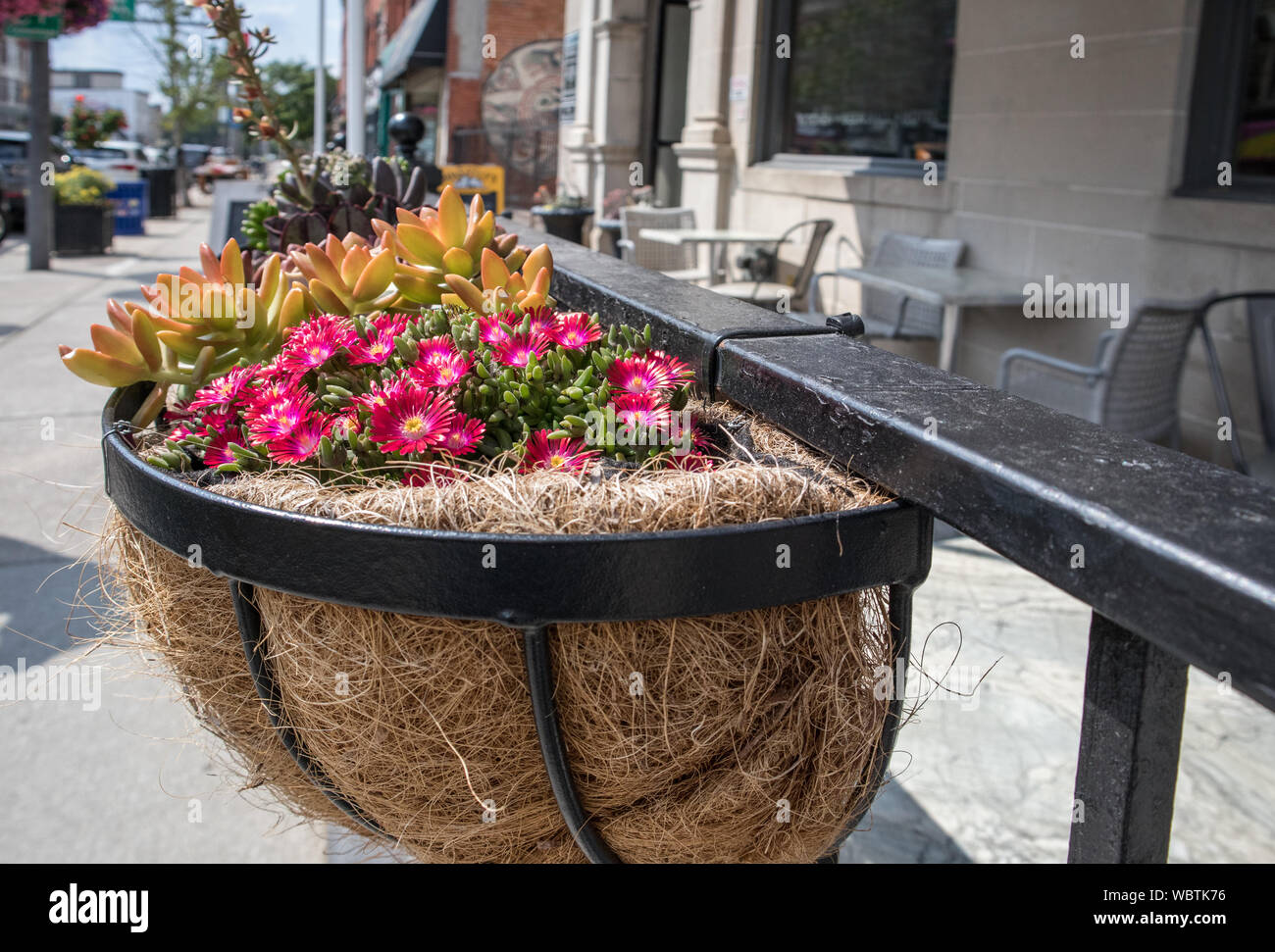 Empty street, empty terrace, no people. A flower box. Stock Photo