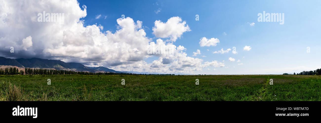 Panorama of a mountain valley in the summer. A fabulous view of the mountain peaks, amazing nature, summer in the mountains. Travel, tourism. beautifu Stock Photo