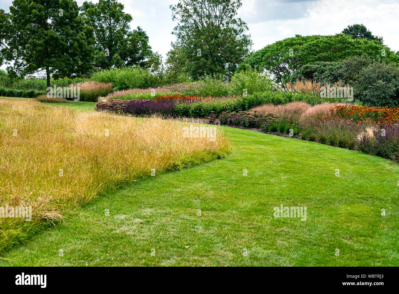 Mown grass strip, with area left to grow next to an herbaceous border. Stock Photo