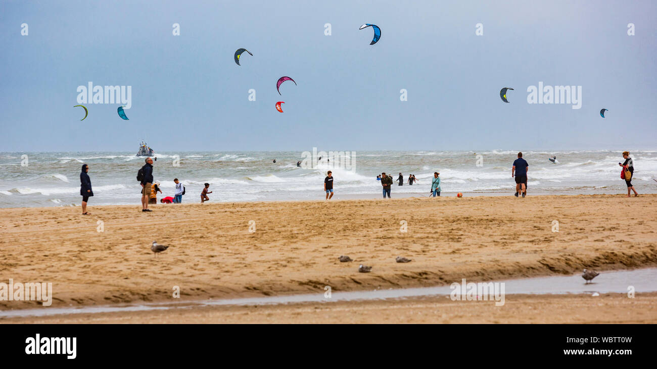 Kite survers, seaside resort of Scheveningen near The Hague, South Holland, Netherlands, Europe Stock Photo