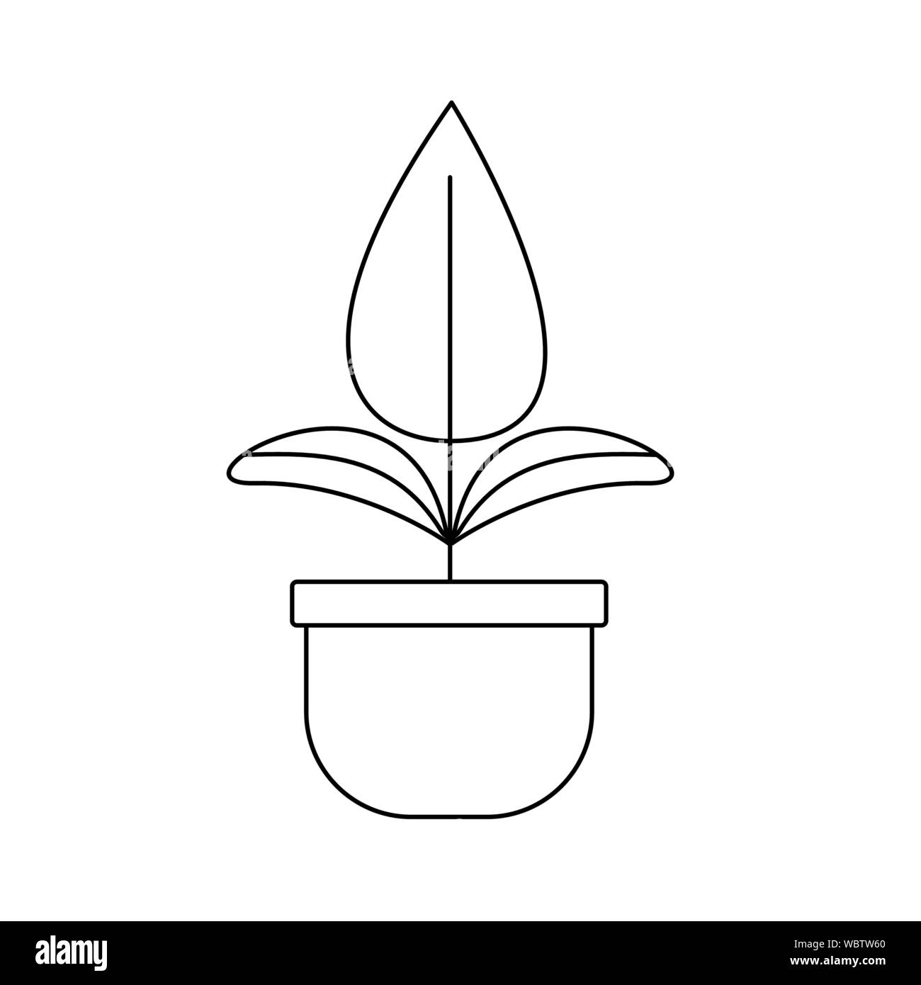 Isolated plant with leaves design Stock Vector Image & Art - Alamy