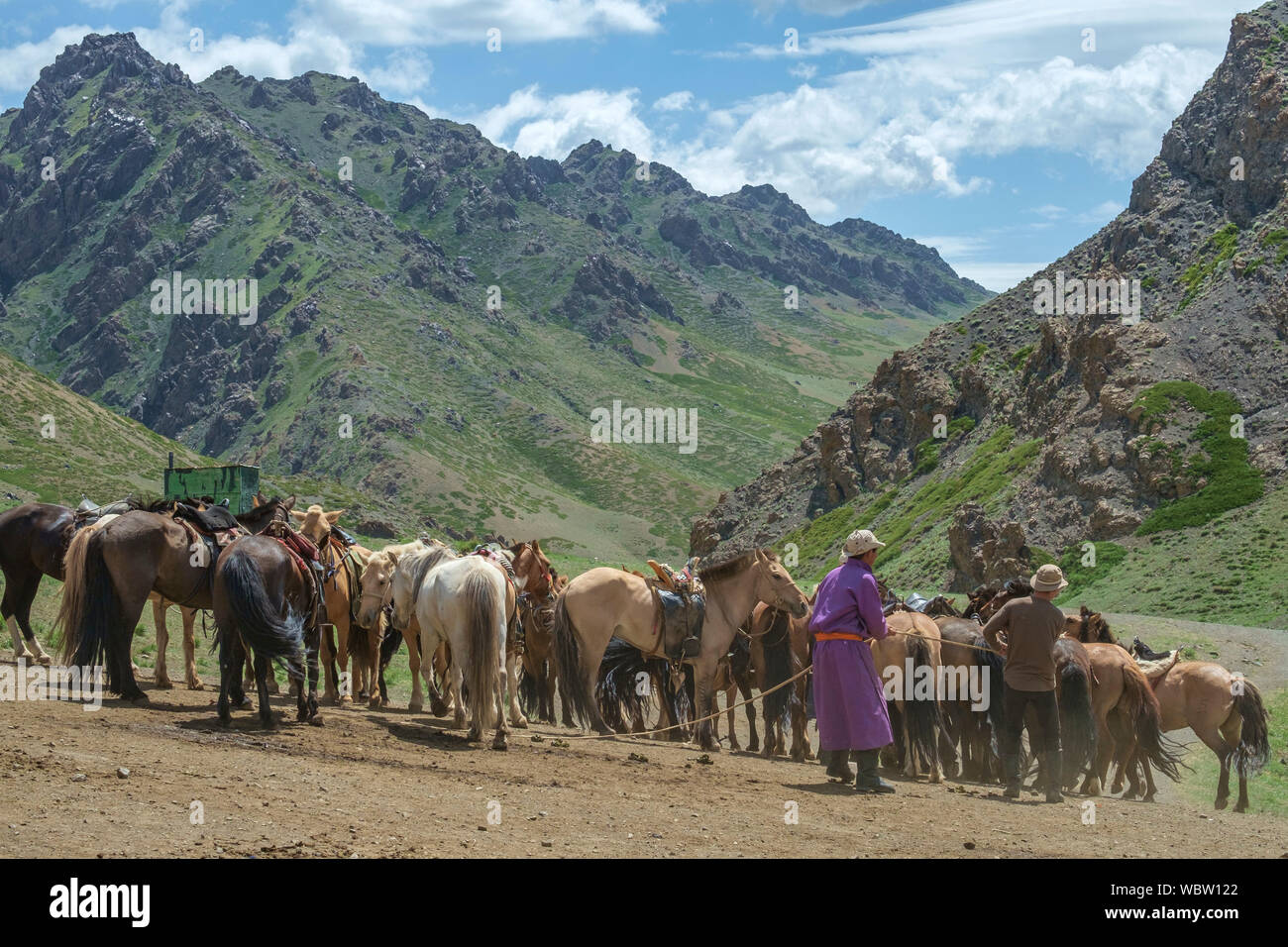 Herd of horses in Yolyn Am, Mongolia Stock Photo - Alamy