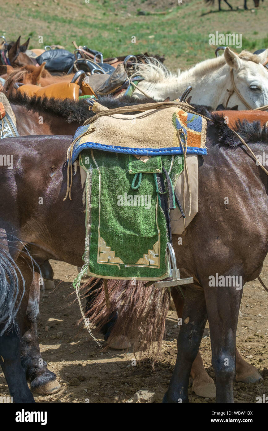 Herd of horses in Yolyn Am, Mongolia Stock Photo - Alamy