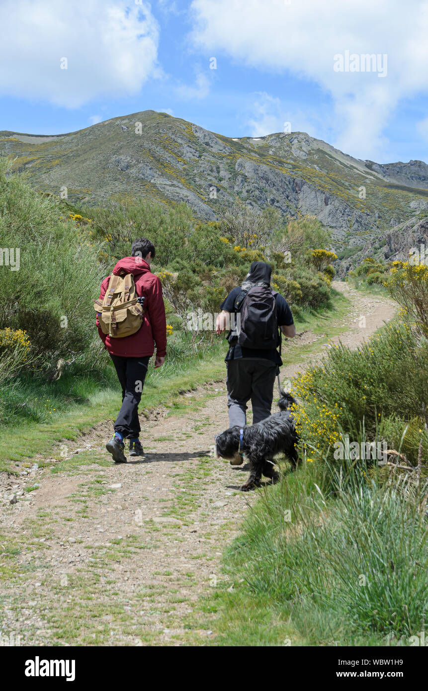 Young man and older man walking with a dog through the mountain Stock Photo