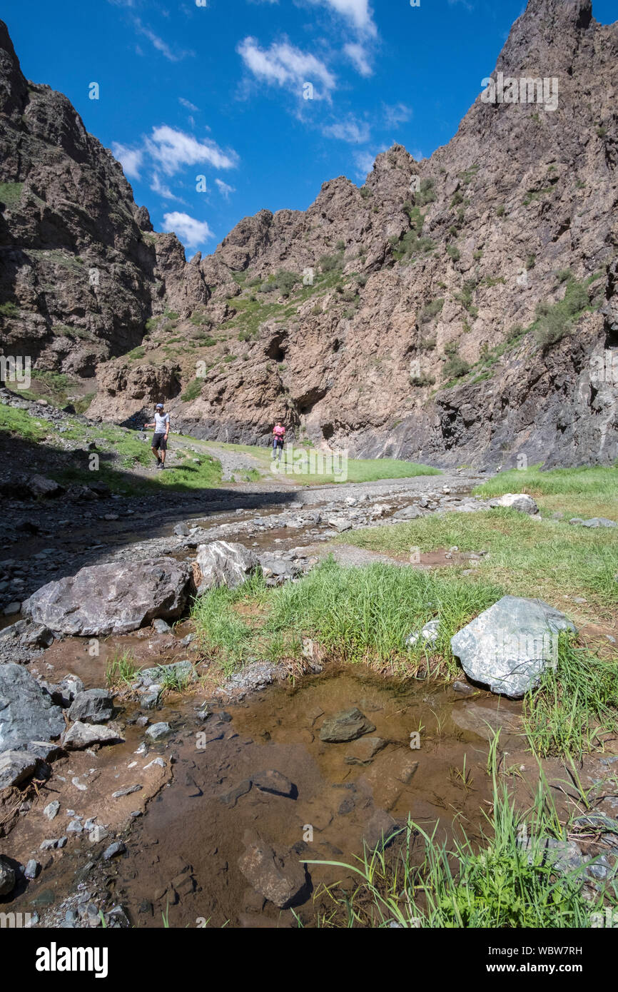 Yolyn Am is a deep and narrow gorge in the Gurvan Saikhan Mountains of southern Mongolia. The valley is named after the Lammergeier, which is called Y Stock Photo