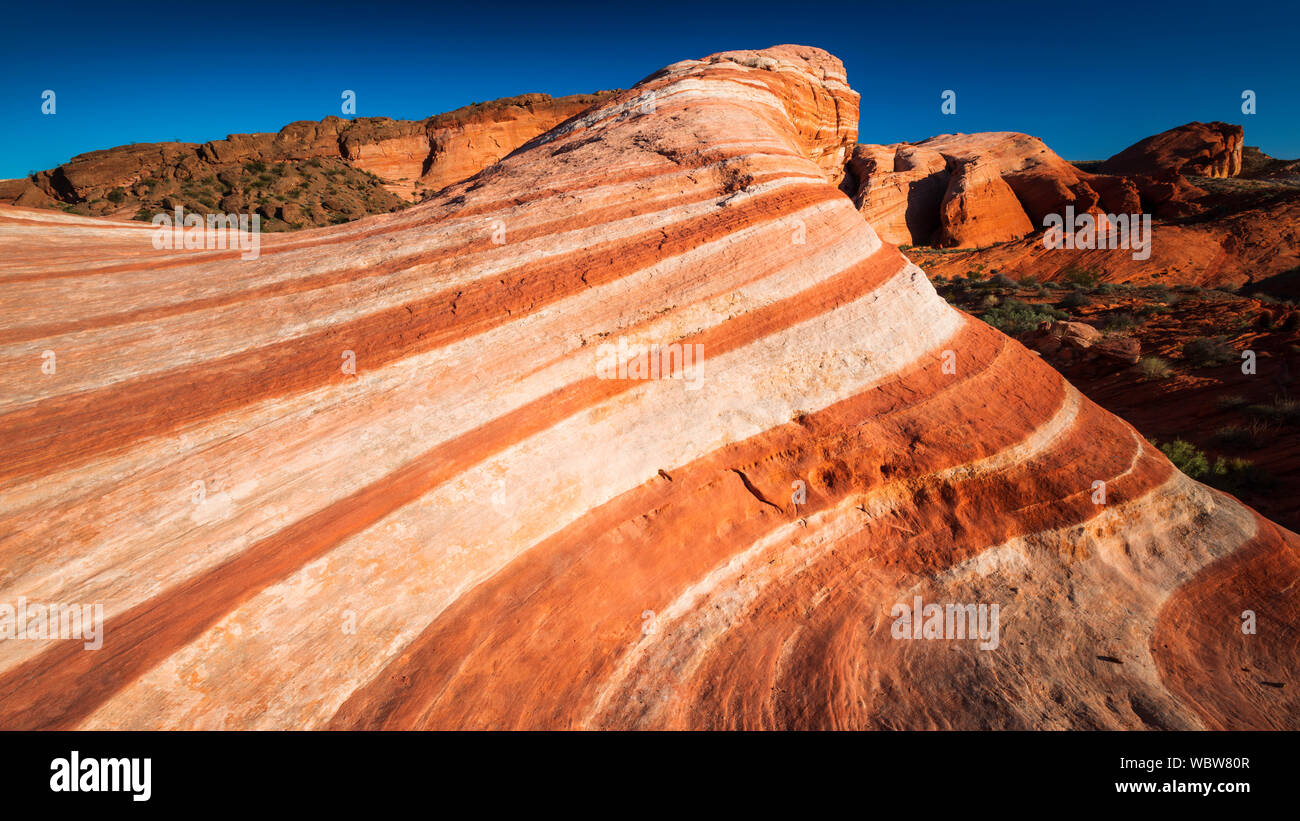 Evening light on the Fire Wave, Valley of Fire State Park, Nevada USA
