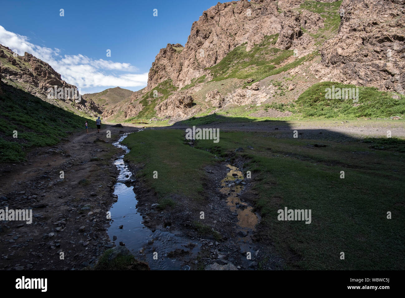 Yolyn Am is a deep and narrow gorge in the Gurvan Saikhan Mountains of southern Mongolia. The valley is named after the Lammergeier. Stock Photo