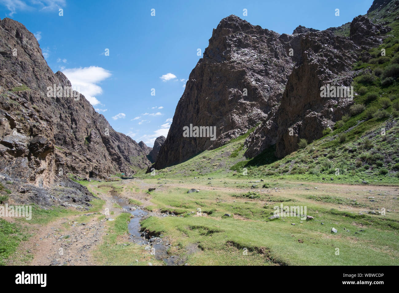 Yolyn Am is a deep and narrow gorge in the Gurvan Saikhan Mountains of southern Mongolia. The valley is named after the Lammergeier. Stock Photo