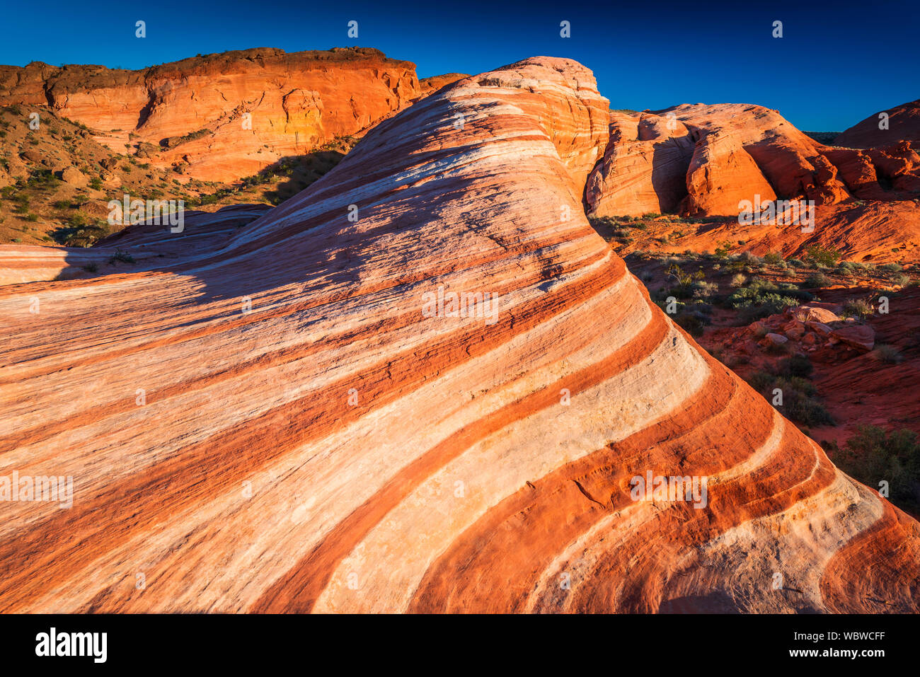 Evening light on the Fire Wave, Valley of Fire State Park, Nevada USA