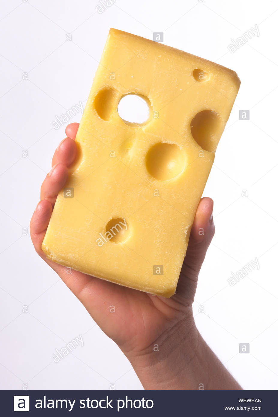 Lactobacillus Helveticus High Resolution Stock Photography and Images