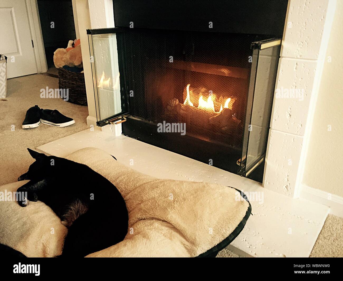 Sleeping dog fireplace hires stock photography and images Alamy