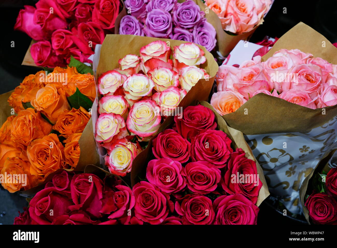 Bunches of red roses hi-res stock photography and images - Alamy
