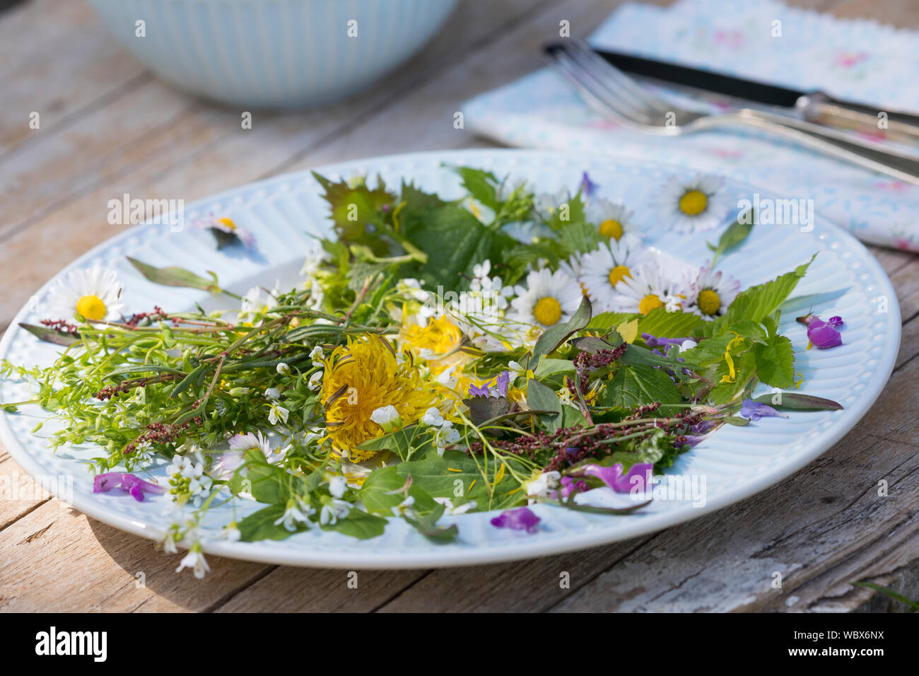 Frühlingskräutersalat, Frühlings-Kräutersalat, Frühlingskräuter-Salat, Frühlingssalat, Frühlings-Salat, Salat aus Wildgemüse, Wildgemüsesalat, Wildgem Stock Photo