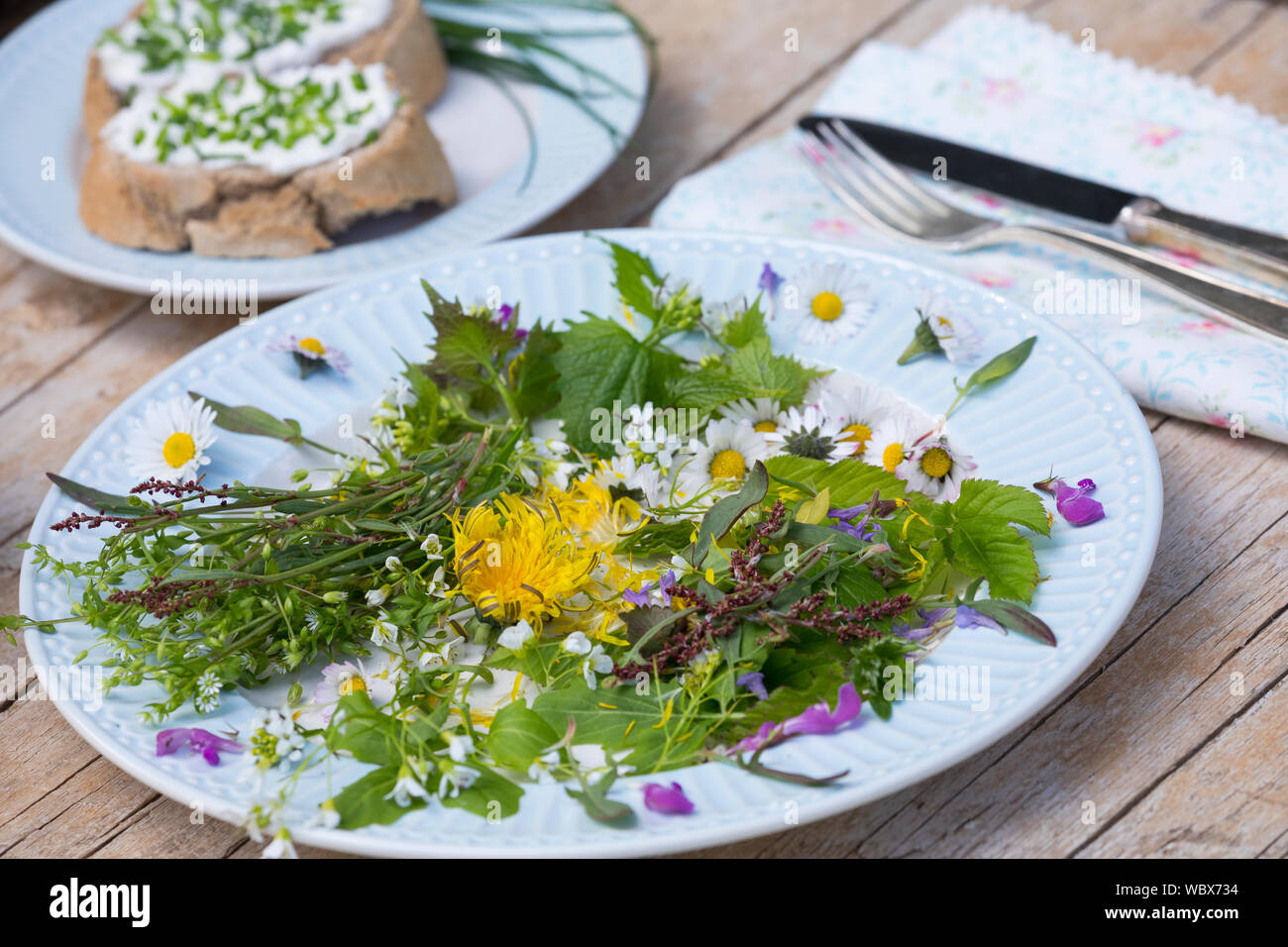 Frühlingskräutersalat, Frühlings-Kräutersalat, Frühlingskräuter-Salat, Frühlingssalat, Frühlings-Salat, Salat aus Wildgemüse, Wildgemüsesalat, Wildgem Stock Photo