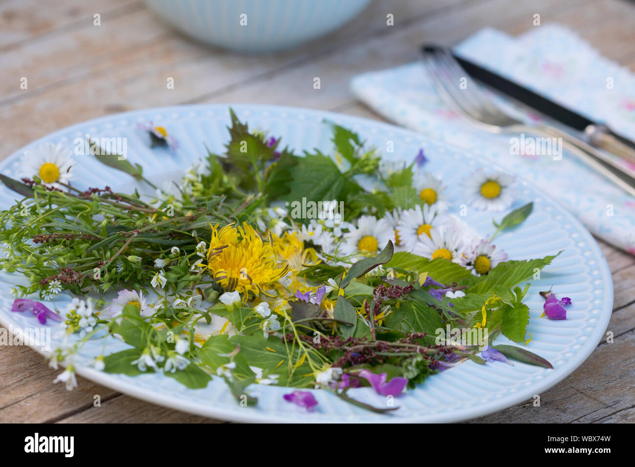 Frühlingskräutersalat, Frühlings-Kräutersalat, Frühlingskräuter-Salat, Frühlingssalat, Frühlings-Salat, Salat aus Wildgemüse, Wildgemüsesalat, Wildgem Stock Photo