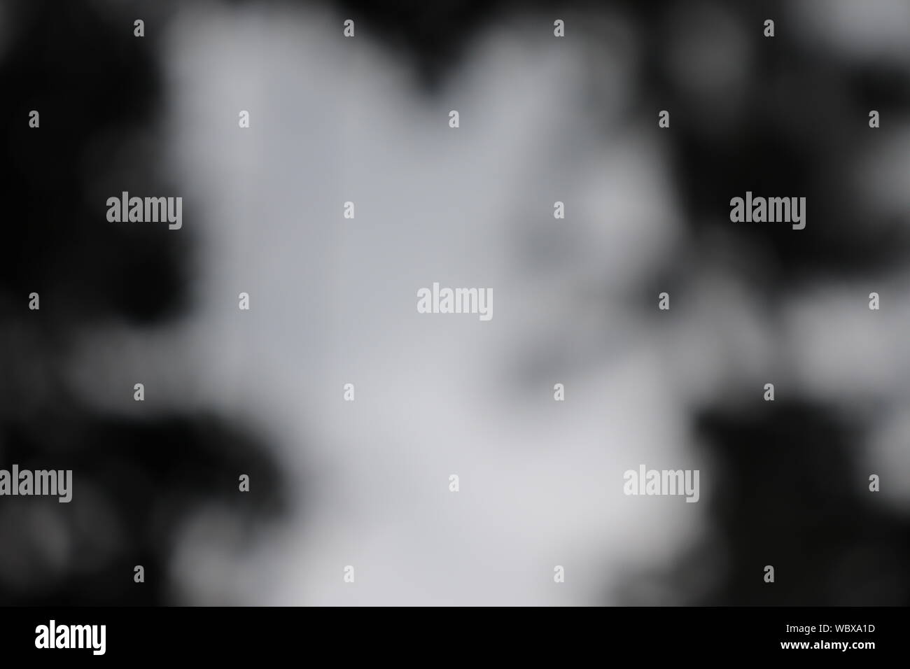 Black And White Blur Abstract Background Stock Photo - Alamy