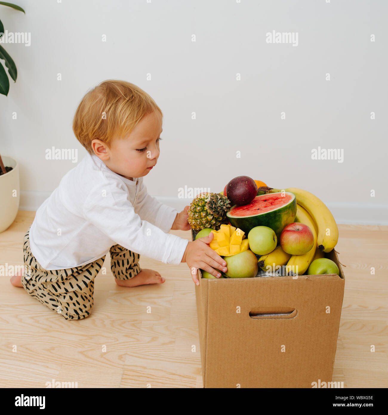Little toddler boy and huge box, filled with fruits Stock Photo