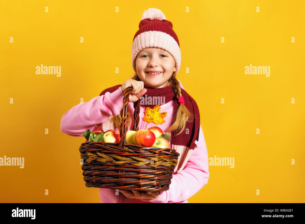 Cute little girl in a scarf and hat on a yellow background. A child holds a basket of apples. Harvest and autumn concept. Stock Photo