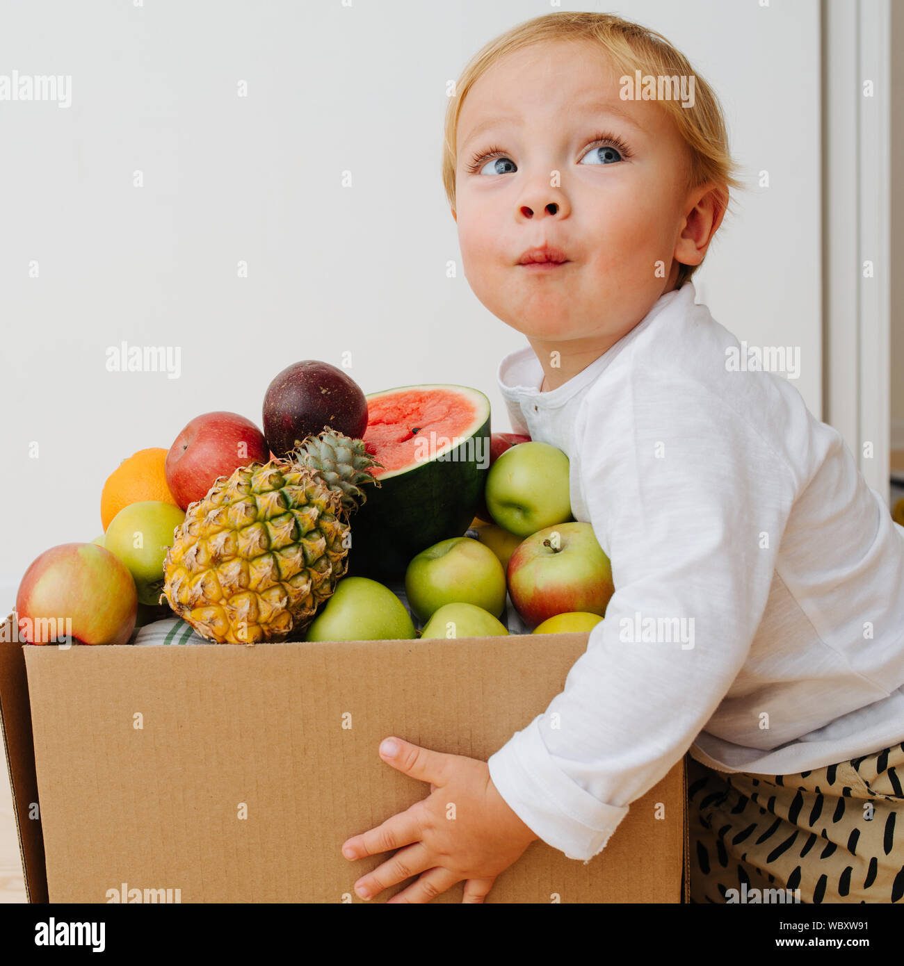 Little toddler boy is pushing huge box, filled with fruits Stock Photo