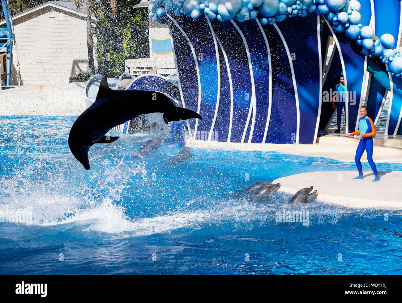 The Dolphin Show at Seaworld, Orlando, Florida, USA. Stock Photo