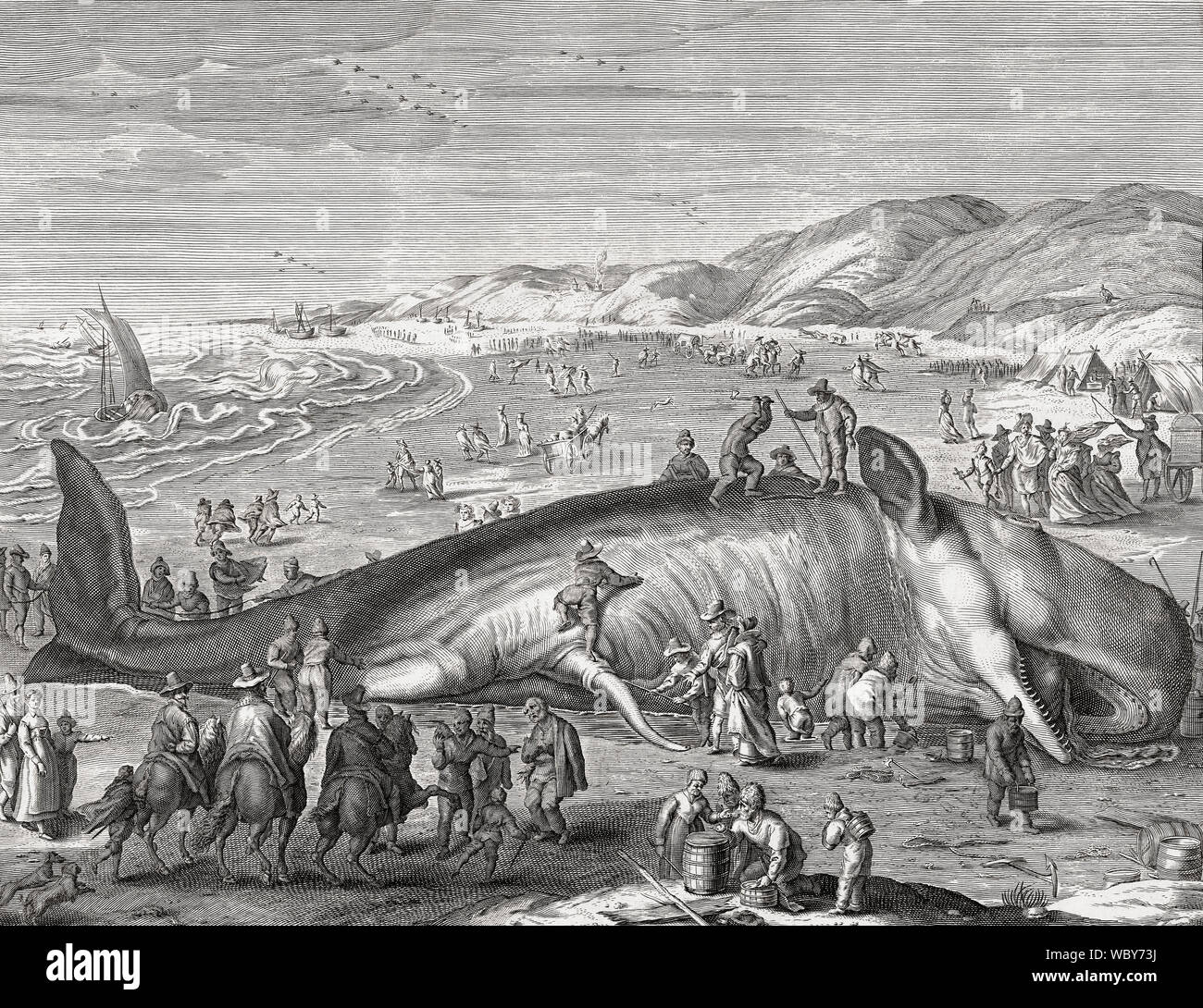 Sperm whale stranded on Dutch beach in 1598.  It attracted many visitors including the artist Henrik Goltzius.  This illustration was made by Jacob Mathan after Goltzius's work Stock Photo