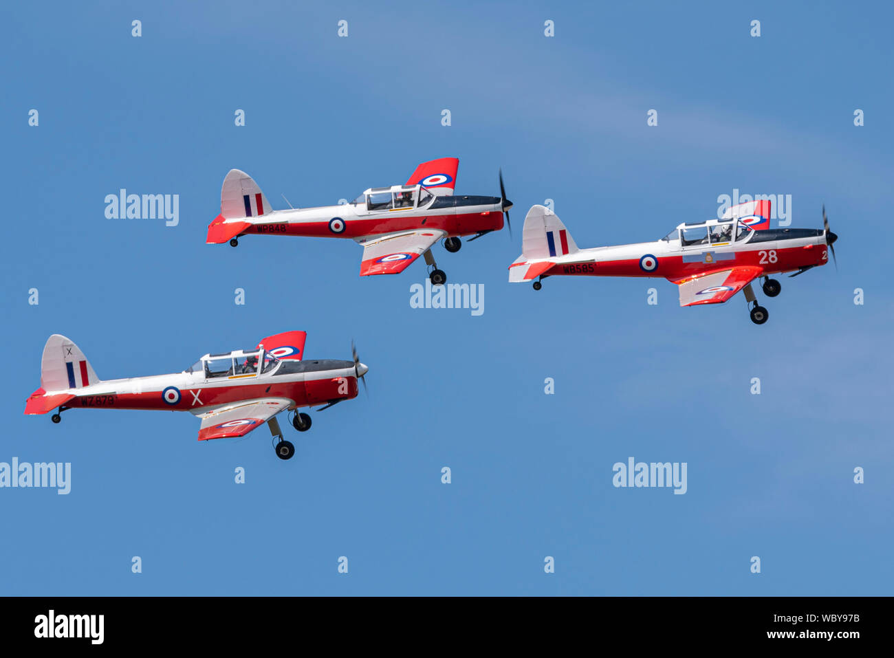 Red Sparrows display team of de Havilland DHC-1 Chipmunk training planes at the Children in Need Little Gransden Air & Car Show airshow, UK. Stock Photo