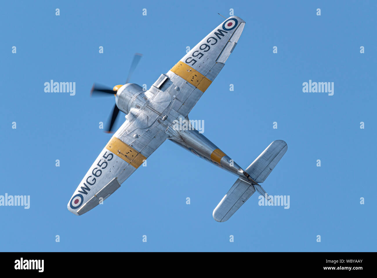 Hawker Sea Fury T.20 Second World War fighter plane flying at the Children in Need Little Gransden Air & Car Show airshow, UK. Stock Photo
