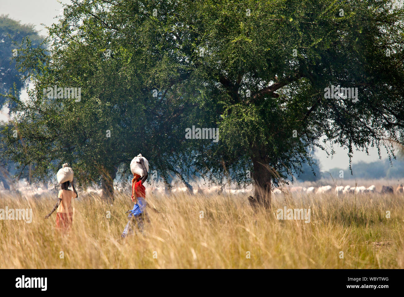 Women in colorful clothing carrying loads in rural South Sudan Stock Photo