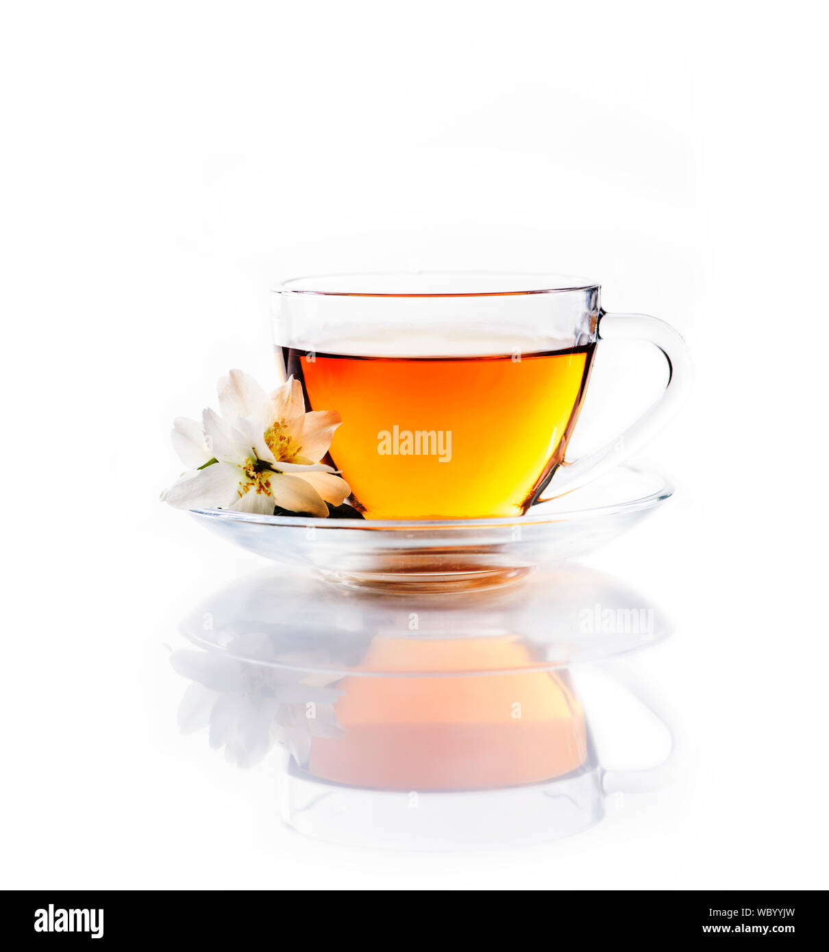 Asian green tea with jasmine flower in transparent teacup isolated on white background with reflection. Traditional chinese hot beverage in glass cup. Stock Photo