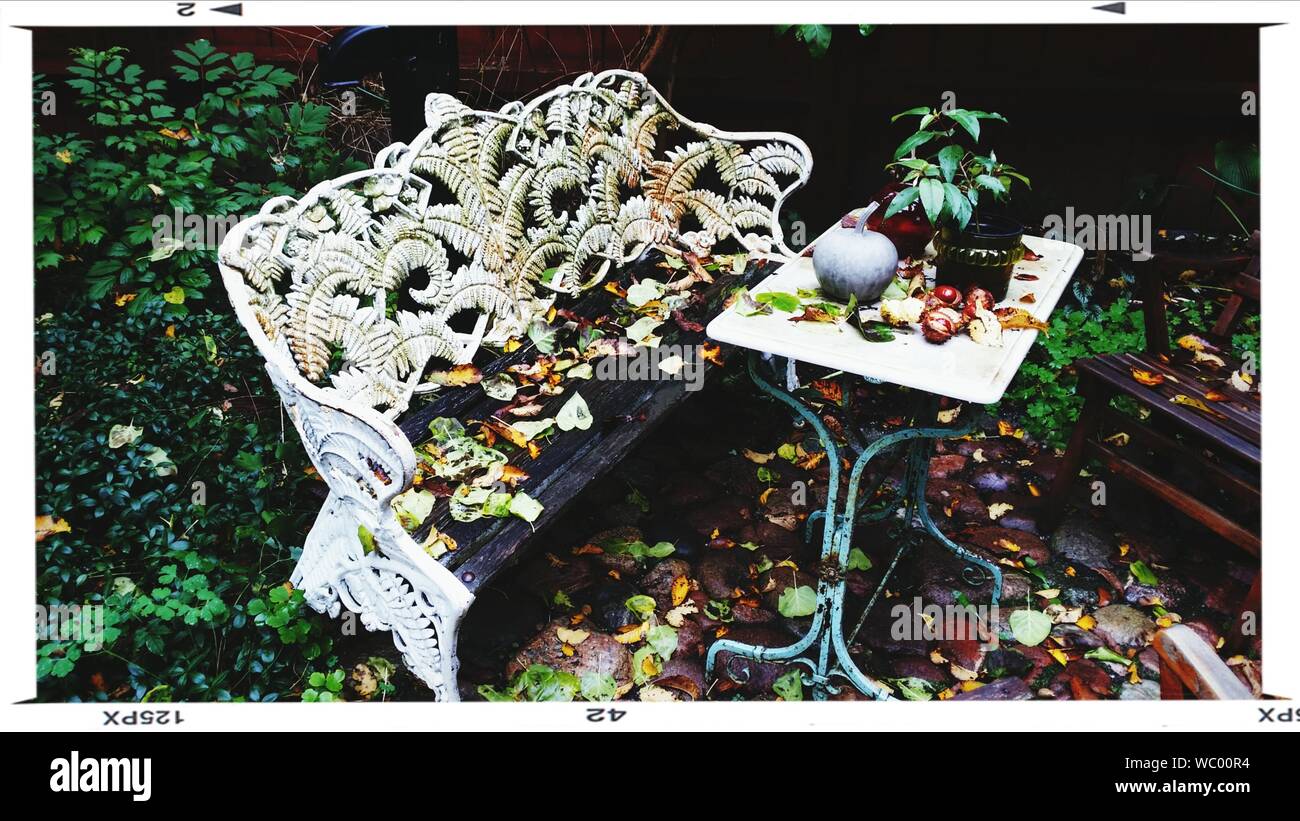Bench And Table In Garden Stock Photo