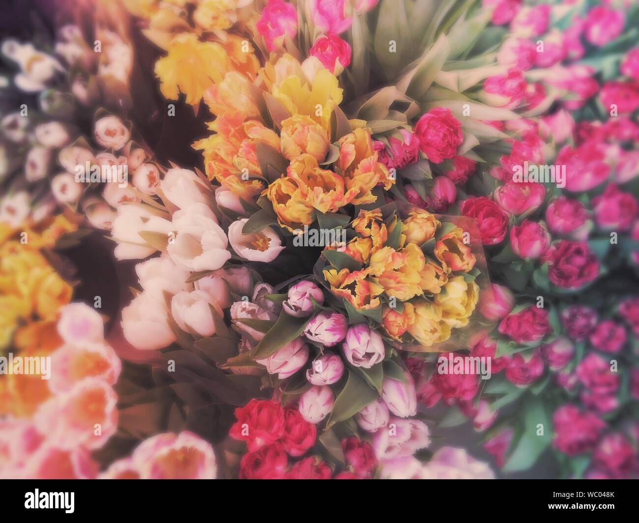 flower crown in store