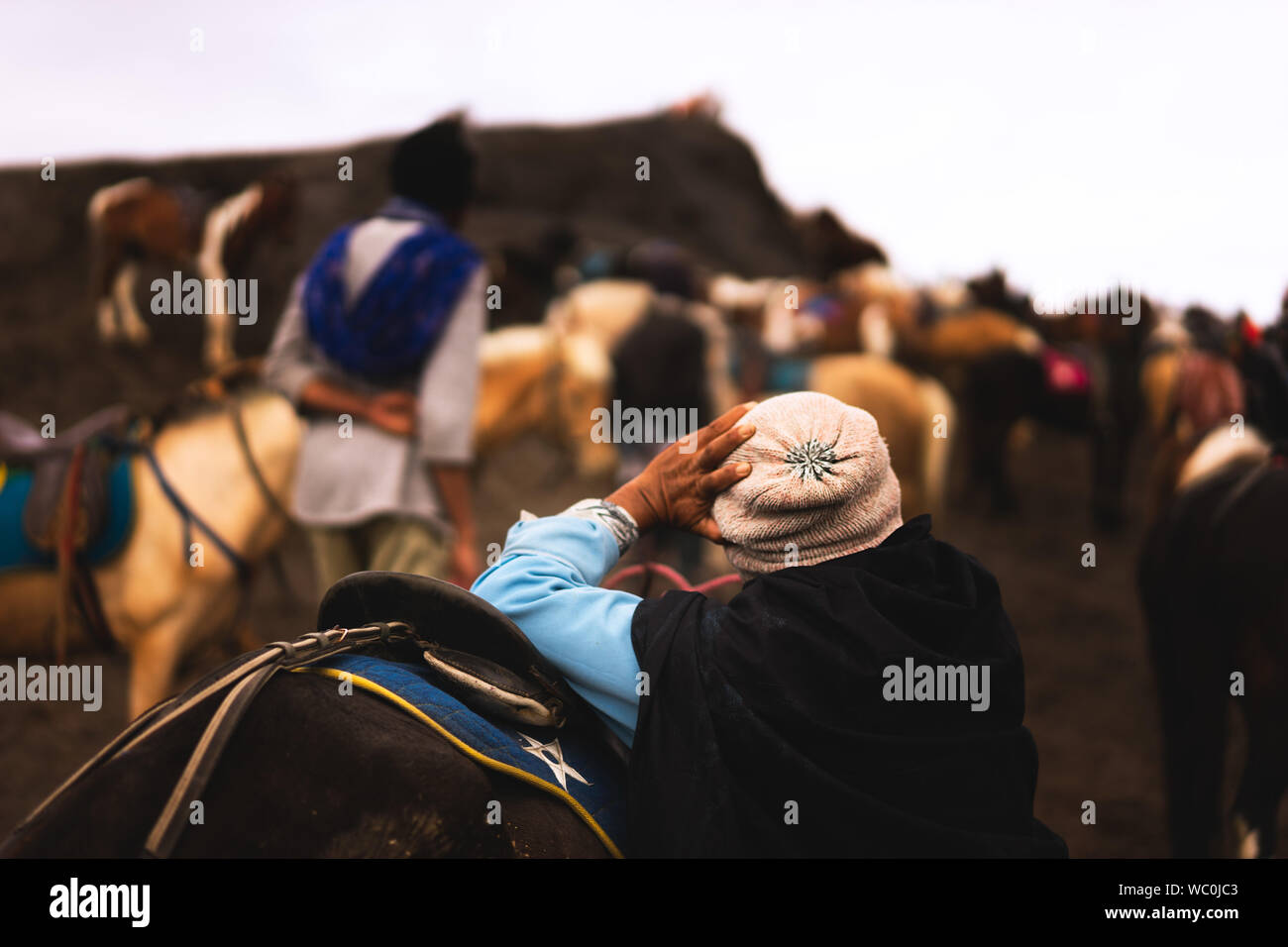 Man leaning on horse hires stock photography and images Alamy